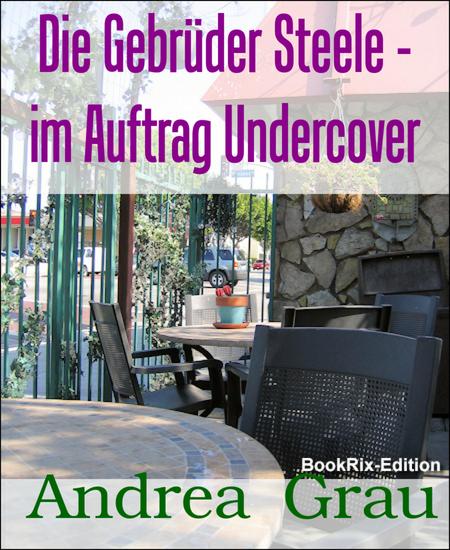 Die Gebrüder Steele - im Auftrag Undercover - cover