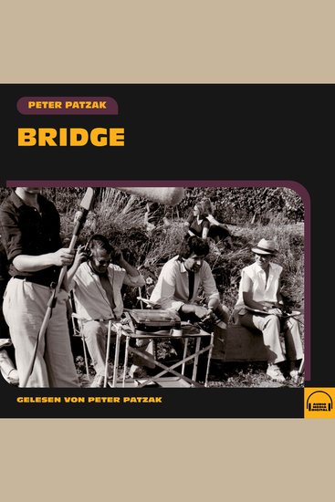 Bridge - cover