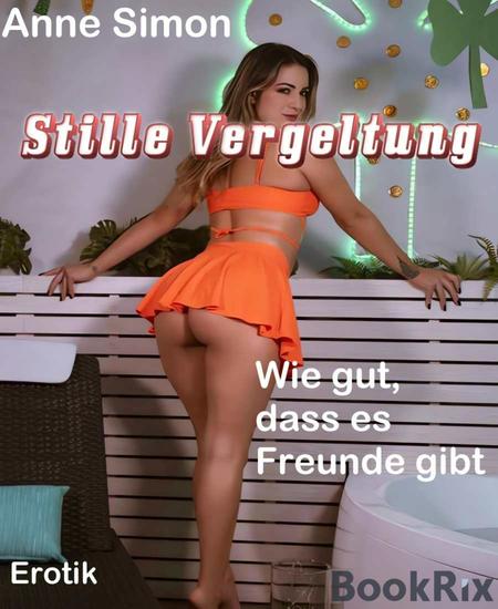 Stille Vergeltung - Wie gut dass es Freunde gibt - cover