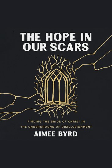 The Hope in Our Scars - Finding the Bride of Christ in the Underground of Disillusionment - cover