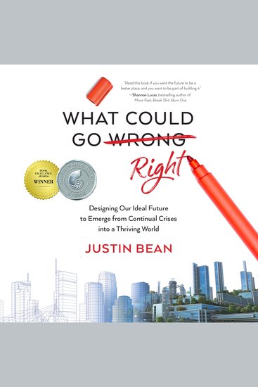 What Could Go Right - cover