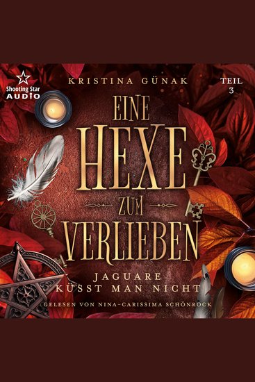 Jaguare küsst man nicht - Eine Hexe zum Verlieben Teil 3 (ungekürzt) - cover