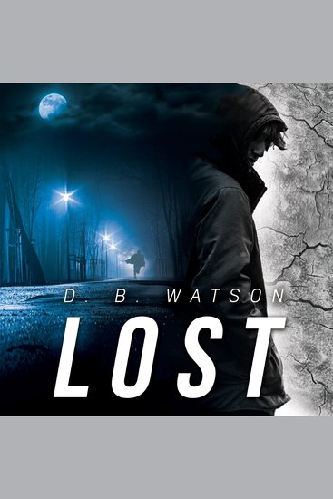 Lost - book 5 of the two timer series - cover