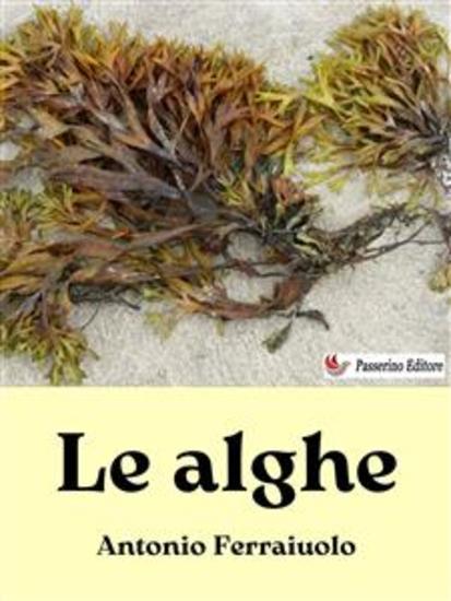 Le alghe - cover