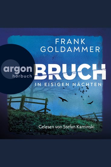 Bruch - In eisigen Nächten - Felix Bruch Band 2 (Ungekürzte Lesung) - cover