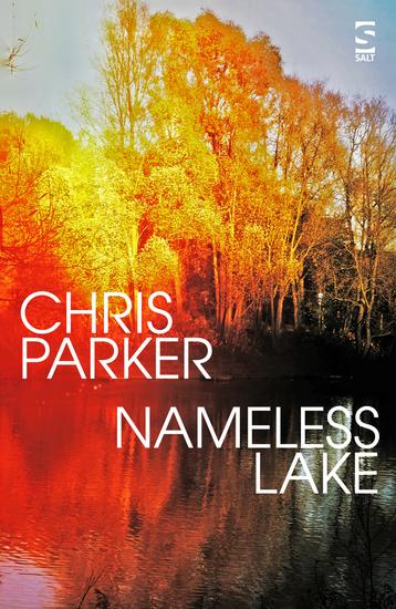 Nameless Lake - cover