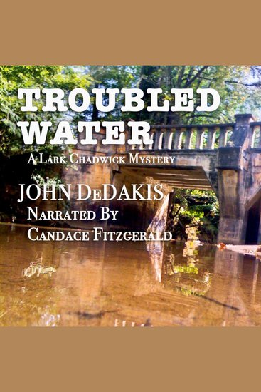 Troubled Water - Lark Chadwick Mystery - cover