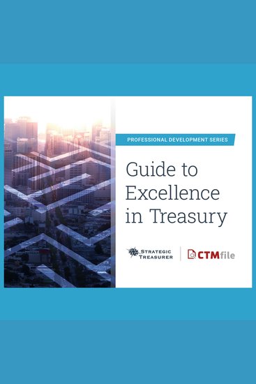 Guide to Excellence in Treasury - cover