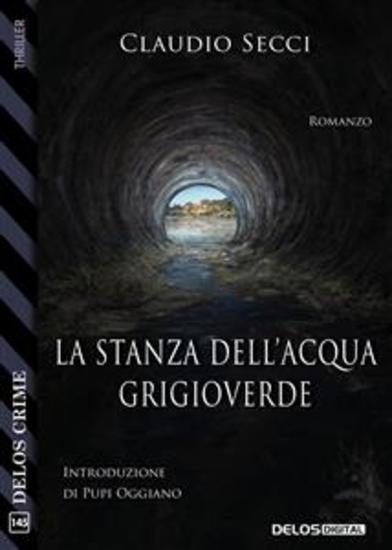 La stanza dell’acqua grigioverde - cover