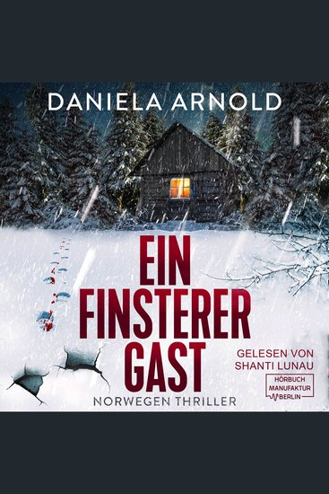 Ein finsterer Gast - Norwegen-Thriller (ungekürzt) - cover
