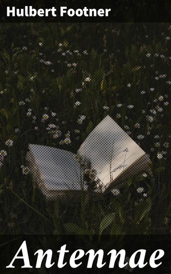 Antennae - Uncovering Secrets in a Twisted Web of Deception - cover