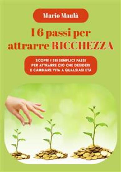 I 6 passi per attrarre ricchezza - Scopri i sei semplici passi per attrarre ciò che desideri e cambiare vita a qualsiasi età - cover