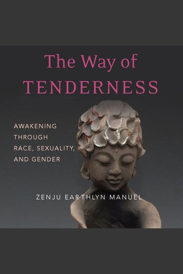 The Way of Tenderness - Awakening through Race Sexuality and Gender - cover