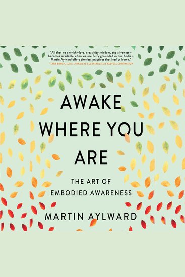 Awake Where You Are - The Art of Embodied Awareness - cover