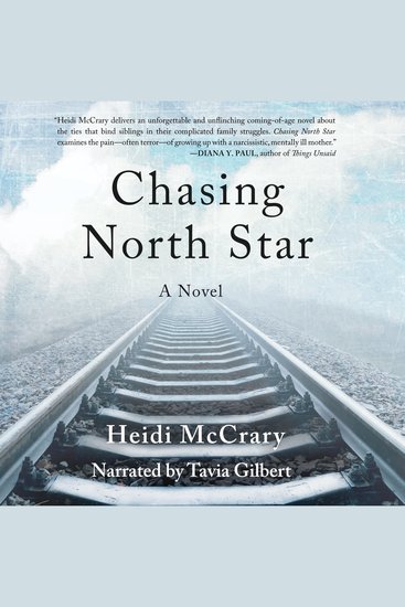 Chasing North Star - A Novel - cover