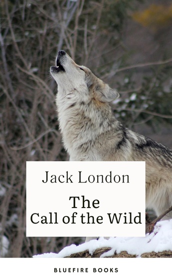Into the Wild Yonder: Experience the Call of the Wild - cover