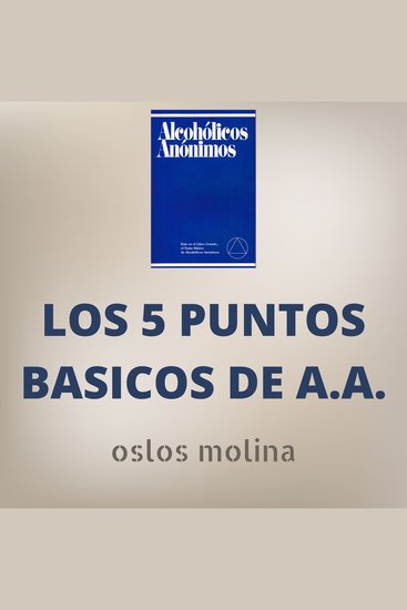 Los 5 puntos basicos de AA - cover