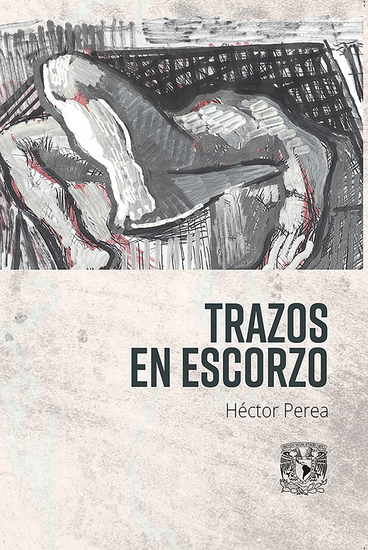 Trazo en escorzo - cover