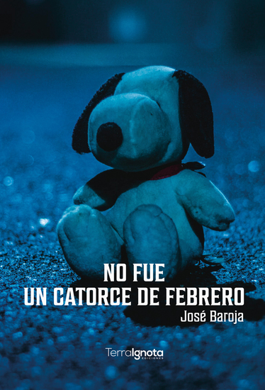 No fue un catorce de febrero - cover