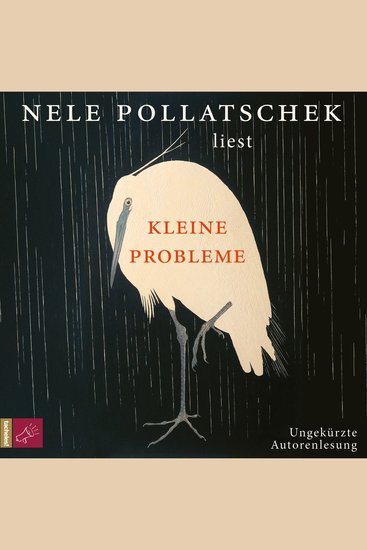 Kleine Probleme (Ungekürzt) - cover