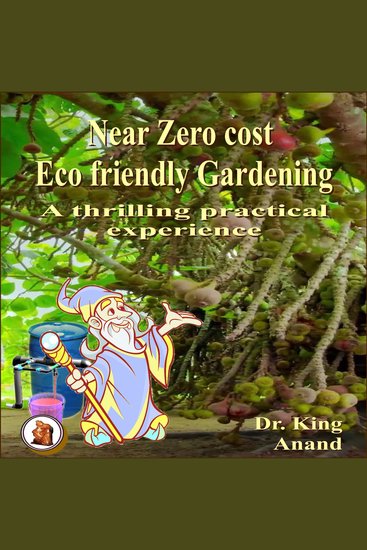 Near Zero Cost Ecofriendly Gardening : A Thrilling Practical Experience - cover