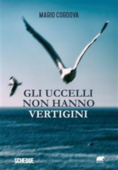 Gli uccelli non hanno vertigini - cover