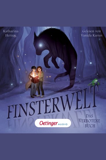 Finsterwelt 1 Das verbotene Buch - cover