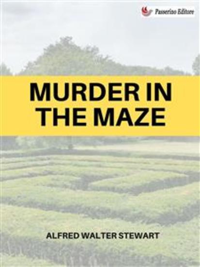 Murder in the Maze - cover