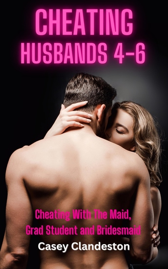 Cheating Husbands 4-6 - Cheating With The Maid Grad Student And Bridesmaid - cover