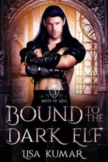 Bound to the Dark Elf (Mists of Eria #3) - An Elf Fantasy Romance - cover
