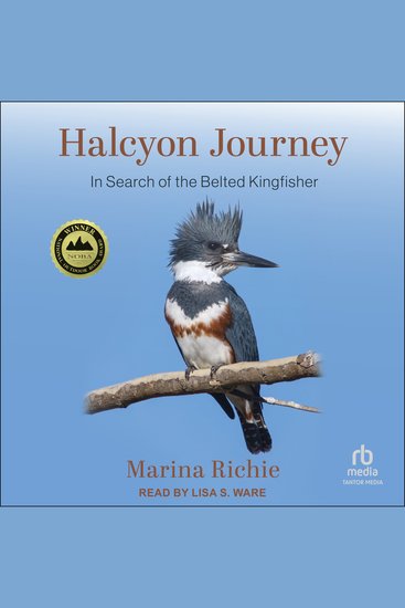 Halcyon Journey - In Search of the Belted Kingfisher - cover