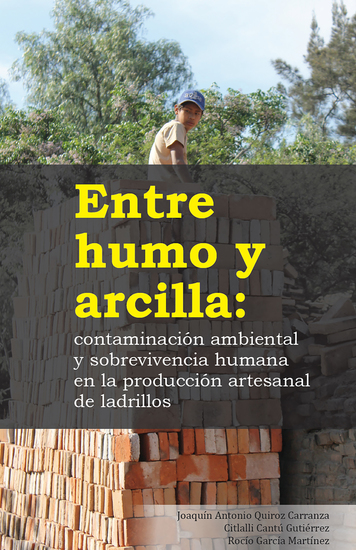 Entre humo y arcilla: contaminación ambiental y sobrevivencia humana en la producción artesanal de ladrillos - cover