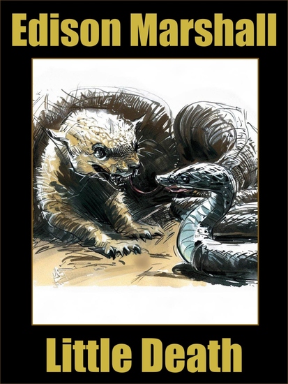 Little Death - cover