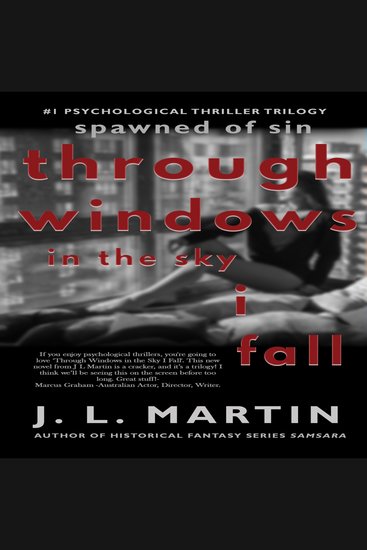 Through Windows In The Sky I Fall - cover