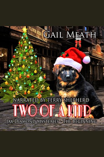 Two of a Kind - The Beginning - cover