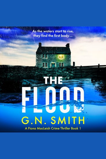 The Flood - A totally unputdownable crime novel - cover