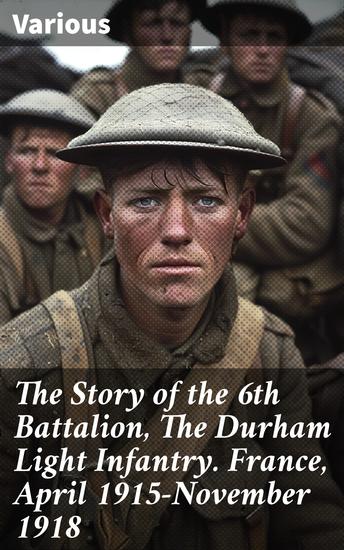 The Story of the 6th Battalion The Durham Light Infantry France April 1915-November 1918 - In the Trenches: A Battalion's Journey through World War I - cover