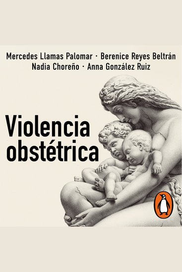 Violencia obstétrica - cover