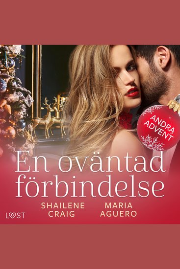 En oväntad förbindelse - Andra advent - cover