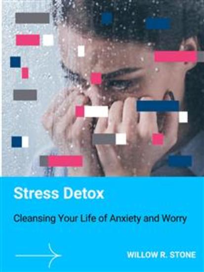 Stress Detox - Cleansing Your Life of Anxiety and Worry - cover