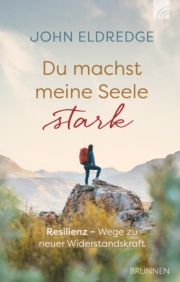 Du machst meine Seele stark - Resilienz - Wege zu neuer Widerstandskraft - cover