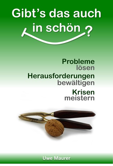 Gibt's das auch in schön? - Probleme lösen Herausforderungen bewältigen Krisen meistern - cover