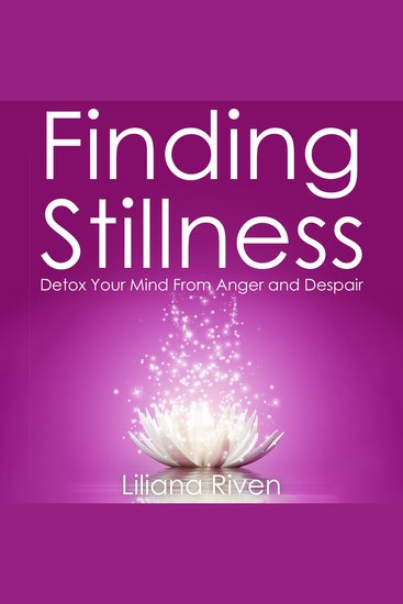 Finding Stillness - Detox Your Mind From Anger And Despair - cover