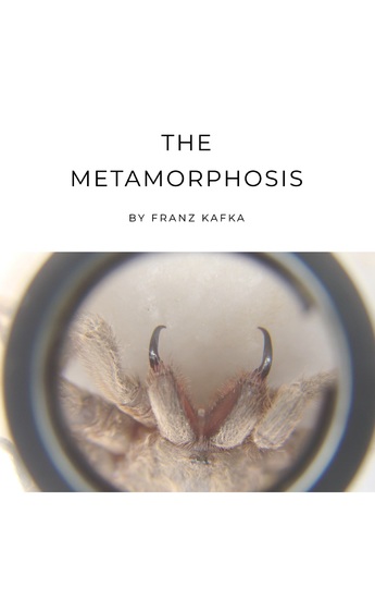 The Metamorphosis - Kafka's Masterpiece of Transformation - cover