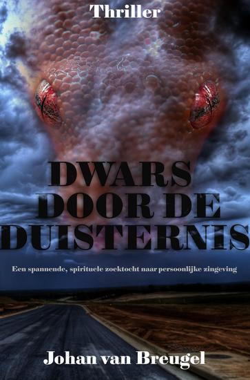 Dwars door de Duisternis - Een spannende spirituele zoektocht naar persoonlijke zingeving - cover