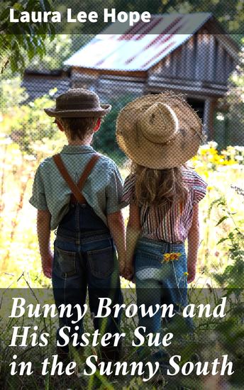 Bunny Brown and His Sister Sue in the Sunny South - Adventures in the Southern Sunshine: A Heartwarming Tale for Young Readers - cover