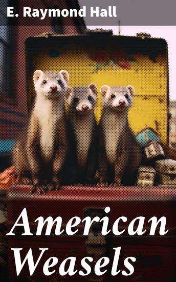 American Weasels - Unveiling the Enigmatic World of American Weasels - cover
