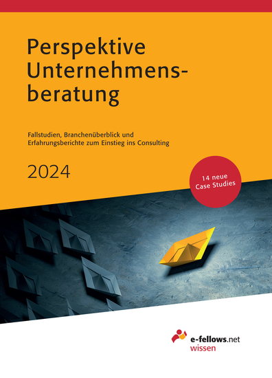 Perspektive Unternehmensberatung 2024 - Fallstudien Branchenüberblick und Erfahrungsberichte zum Einstieg ins Consulting - cover