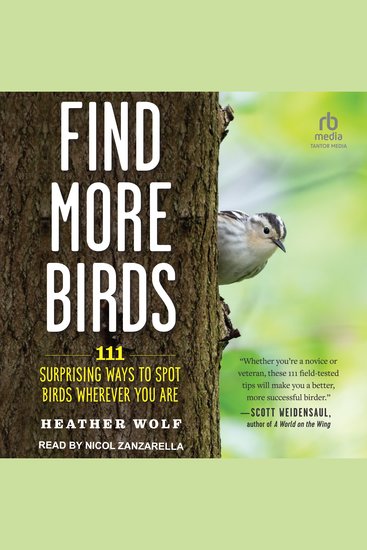 Find More Birds - 111 Surprising Ways to Spot Birds Wherever You Are - cover