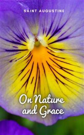 On Nature and Grace - cover